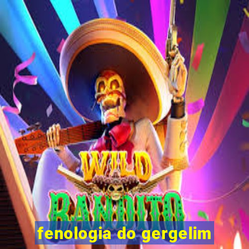 fenologia do gergelim